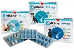 ZYLKENE CANI E GATTI 20 CAPSULE 75 MG